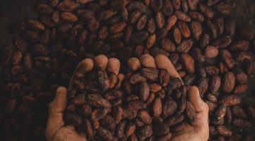 Hoe kan je beleggen in cacao & chocolade industrie?