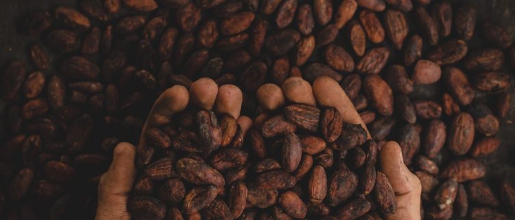 Hoe kan je beleggen in cacao & chocolade industrie?